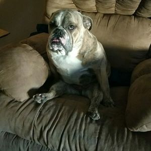 Meet your Posher, Marisa